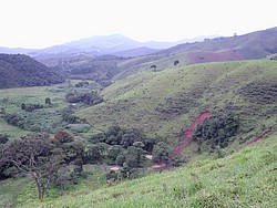 Fazenda_Mirantao627.jpg(103 KB)