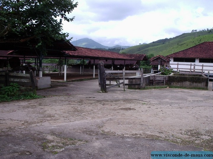 Fazenda_Mirantao619.jpg (105 KB)