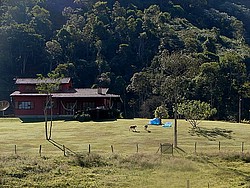 casa_e_gramado.jpg(137 KB)