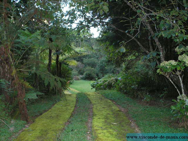 Maringa_sitio189.jpg (97.3 KB)