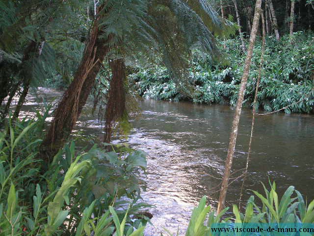 Maringa_sitio197.jpg (107 KB)