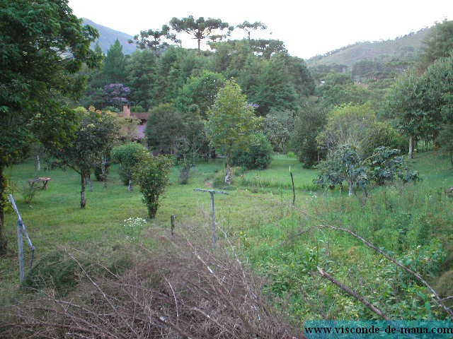 Maringa_sitio200.jpg (93.8 KB)