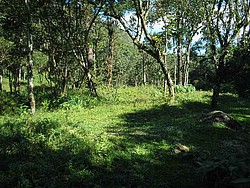 Sitio_Vale_Pavao012.jpg(130 KB)