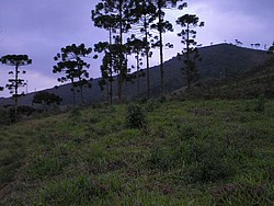 arquivo geral fotos 221.jpg(72.5 KB)